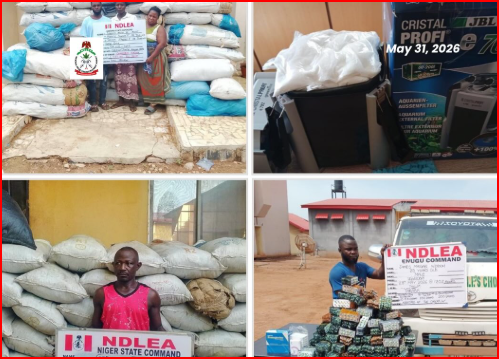 NDLEA busts drug syndicate, seizes ammunition in nationwide operations