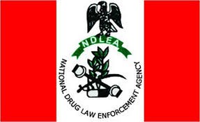 ARTICLE: Cocktail of Meth: Why Nigeria’s Forests Are the New Cartel Brewery, By Danjuma Amodu