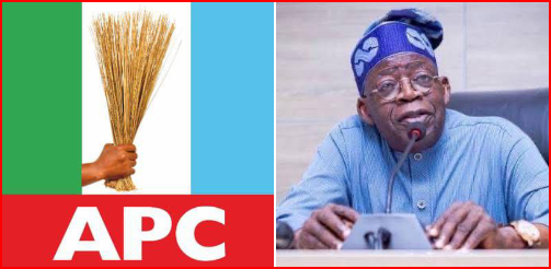Tinubu urges unity, fairness as APC begins nationwide primaries