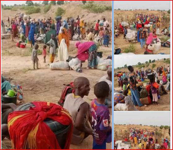 Amnesty International condemns fresh Sokoto attacks