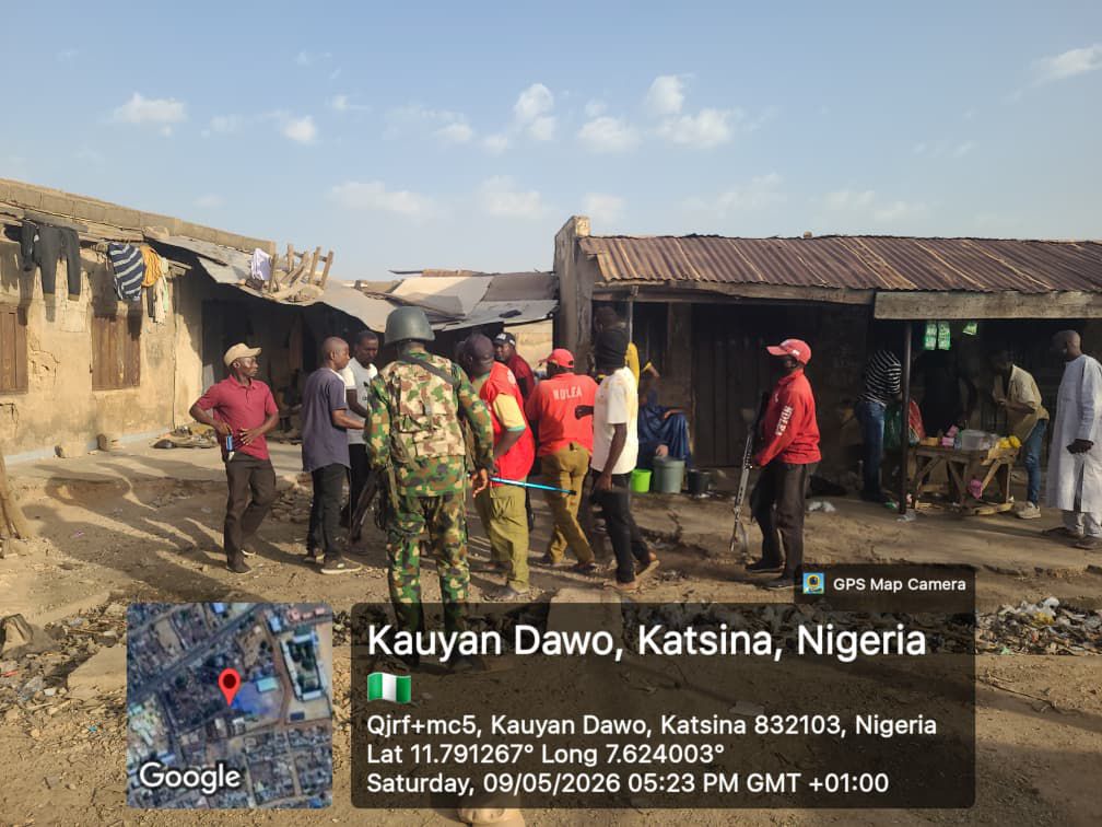 Troops neutralise terrorists, recover 175 livestock in Katsina