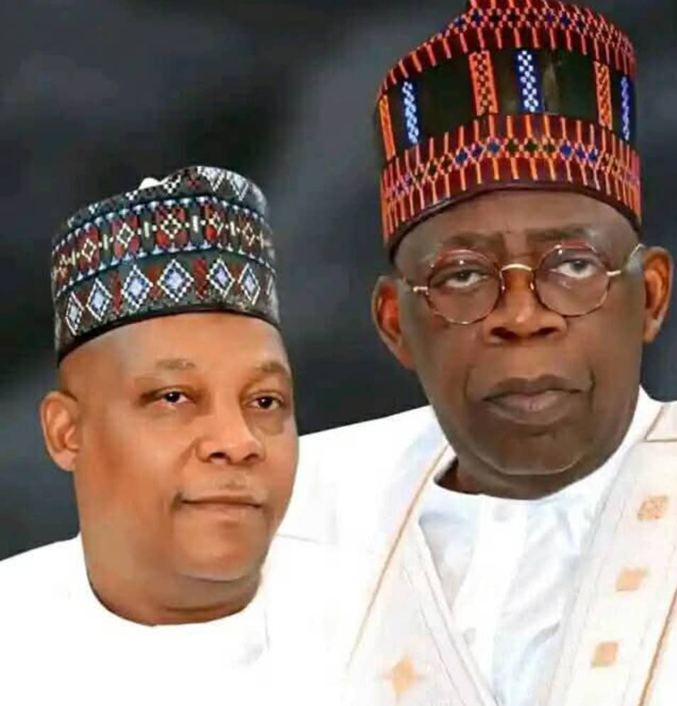 2027: Between President Tinubu And Vice President Kashim Shettima, By: Dr. James Bwala