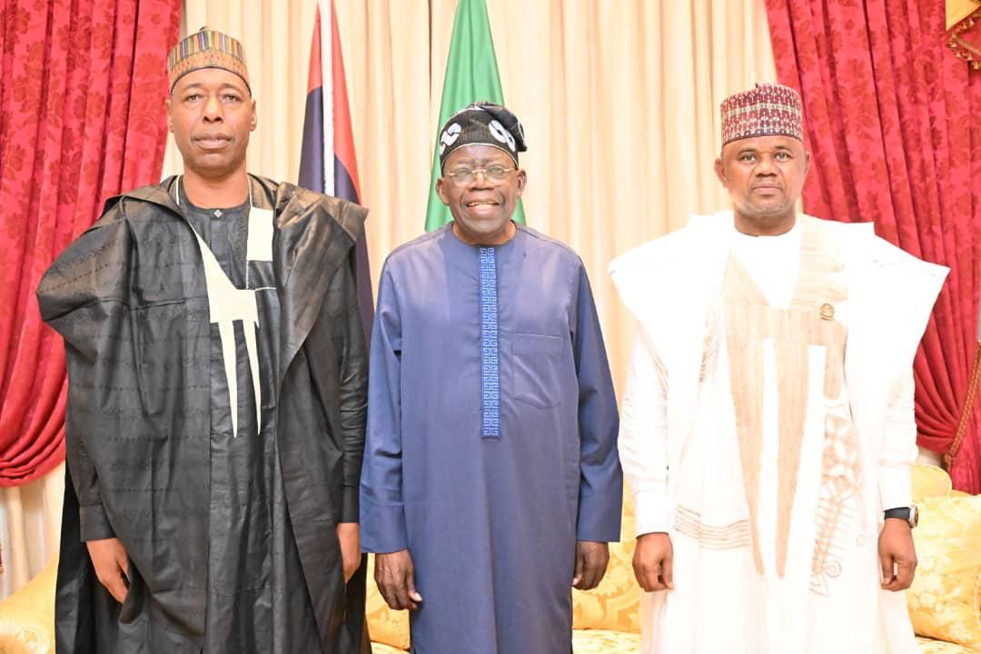 Zulum presents APC guber candidate Gubio to Tinubu, commends Northeast recovery efforts