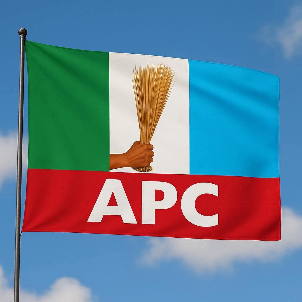 APC Bauchi: Counting the Losses, By Michael Olukayode