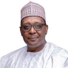 Prof Mohammed Ali Pate