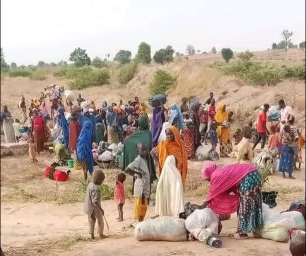 Kebbi attack leaves 20 dead, Amnesty International urges action