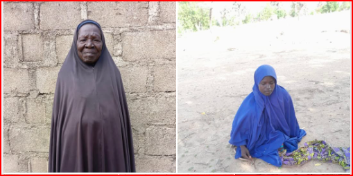 Troops rescue abductees, neutralise terrorist in major North-East operations