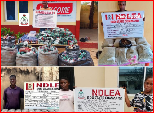 NDLEA seizes massive opioid consignment, arrests 75-year-old suspect