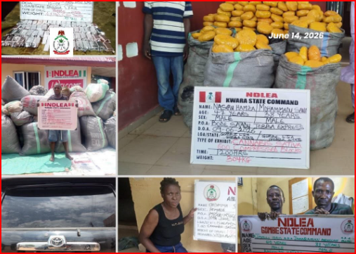 NDLEA uncovers sophisticated drug smuggling network, arrests Brazil-based businessman