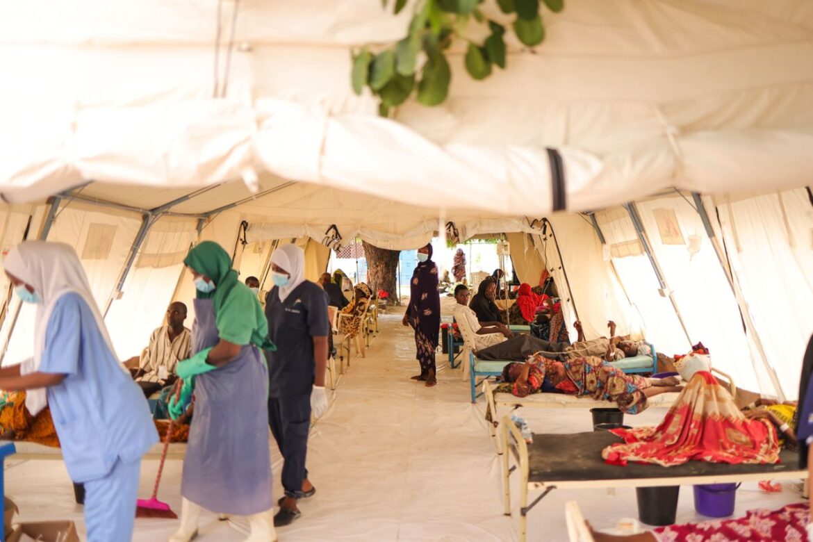 Borno cholera cases near 8,000 as health facilities face mounting pressure