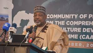 Funding gap threatens Nigeria’s ambitious agrifood reform