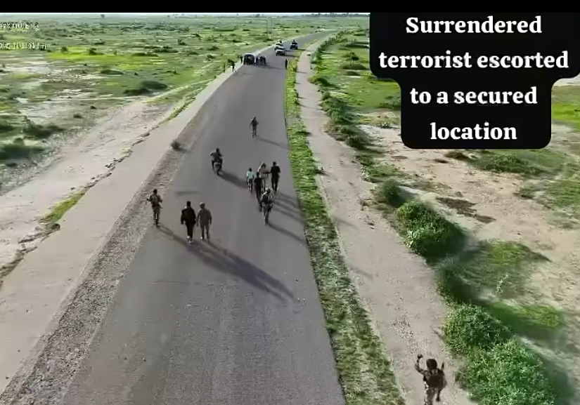 Senior ISWAP financier’s surrender signals deepening crisis within terror group