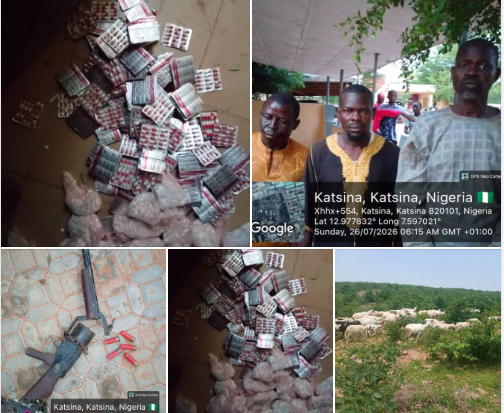 Troops rescue kidnap victim, recover 126 rustled livestock in Katsina