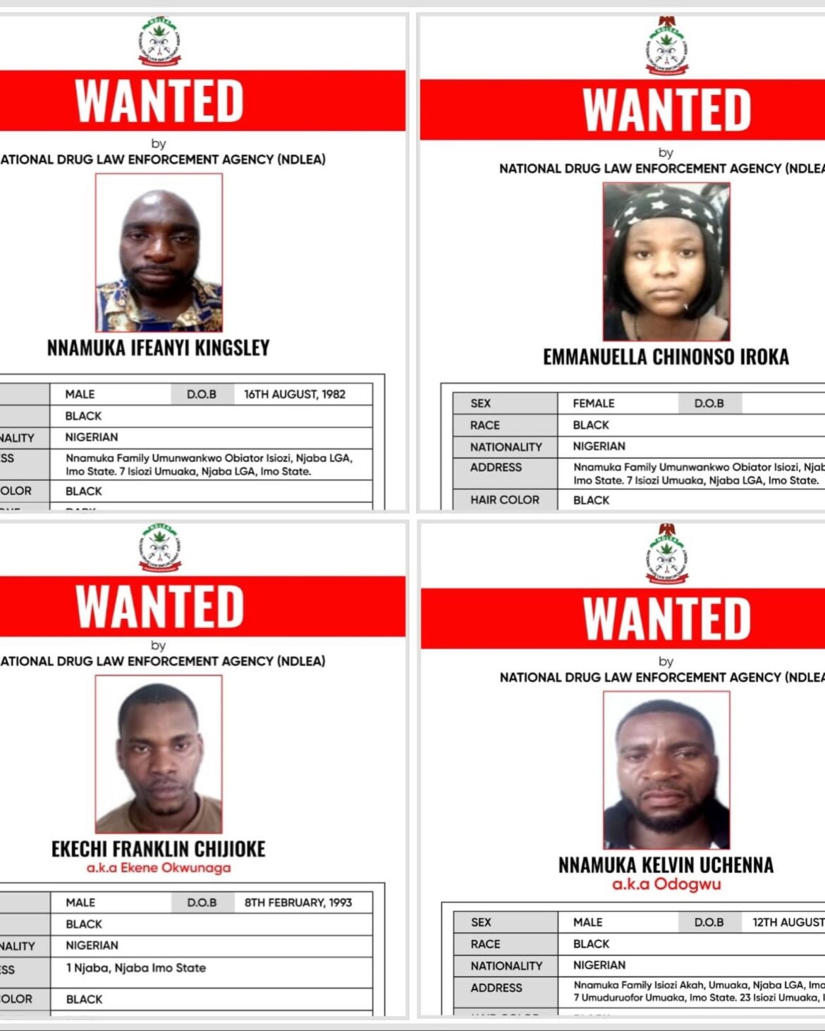 NDLEA declares drug kingpin wanted, freezes N9.8bn assets