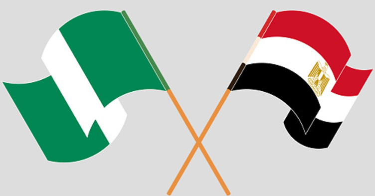 Egypt, Nigeria renew commitment to African-led solutions
