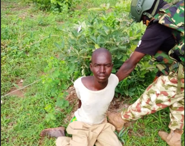 Nigerian troops arrest suspected Sudanese terrorist, Ghanaian illegal immigrant in Borno