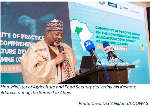 Nigeria leads Africa with CAADP domestication plan, wins IFAD praise