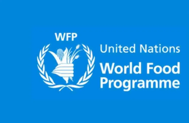Hunger crisis in Northern Nigeria hits nine-year high, WFP seeks $89m lifeline