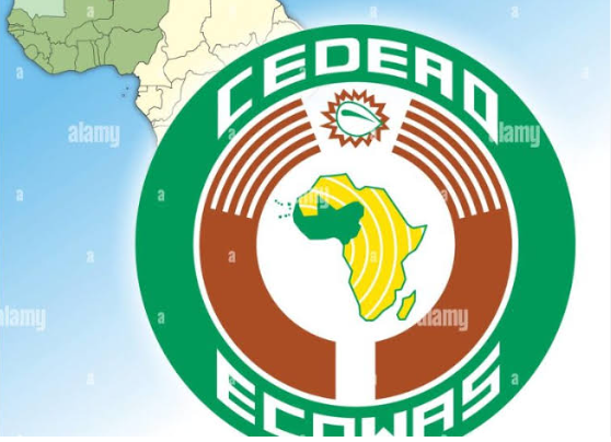 ECOWAS raises alarm as cocaine seizures double, synthetic drugs deepen West Africa’s drug crisis