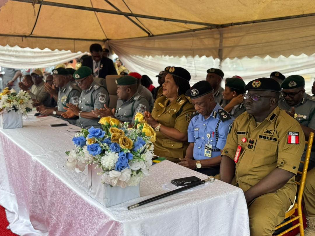 NDLEA takes delivery of 6.8 tonnes of cannabis, vows relentless offensive against drug cartels