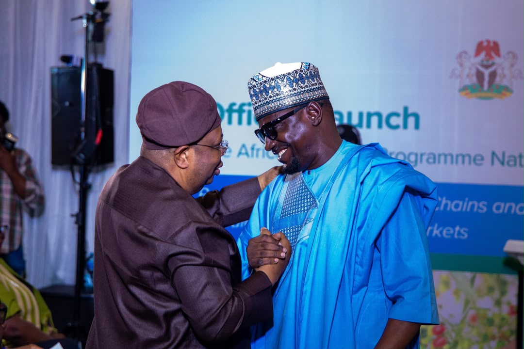 ILO, FG unveil green jobs initiative to power Nigeria’s climate transition