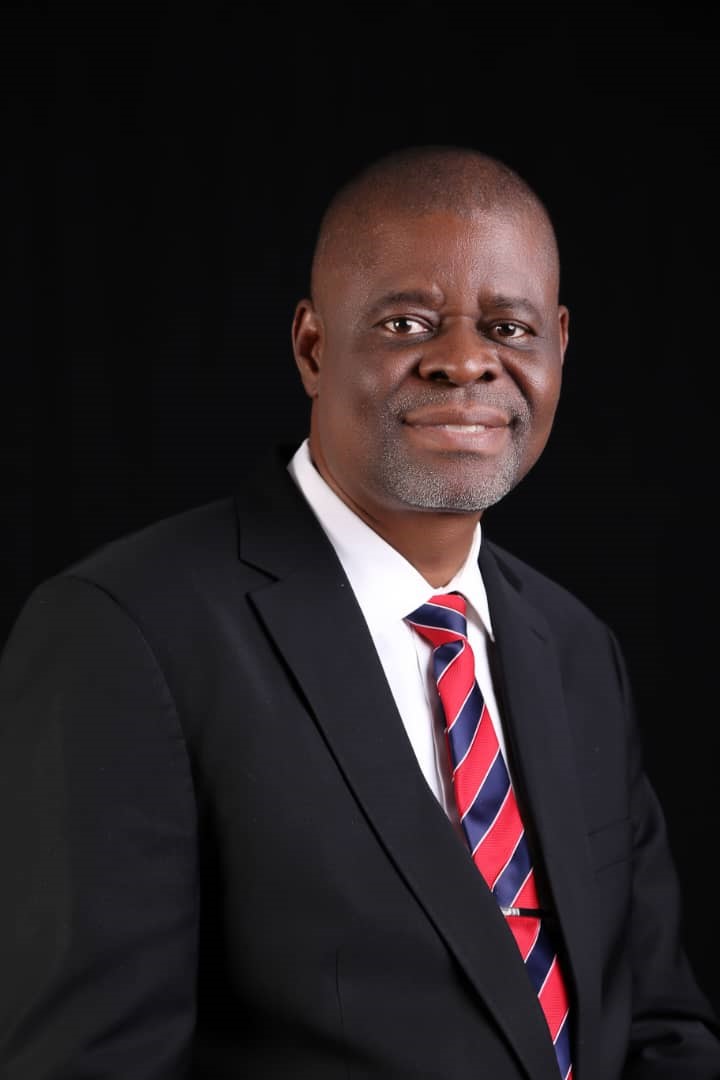 ActionAid Nigeria appoints Mairo-Ese, Igbuzor to Board