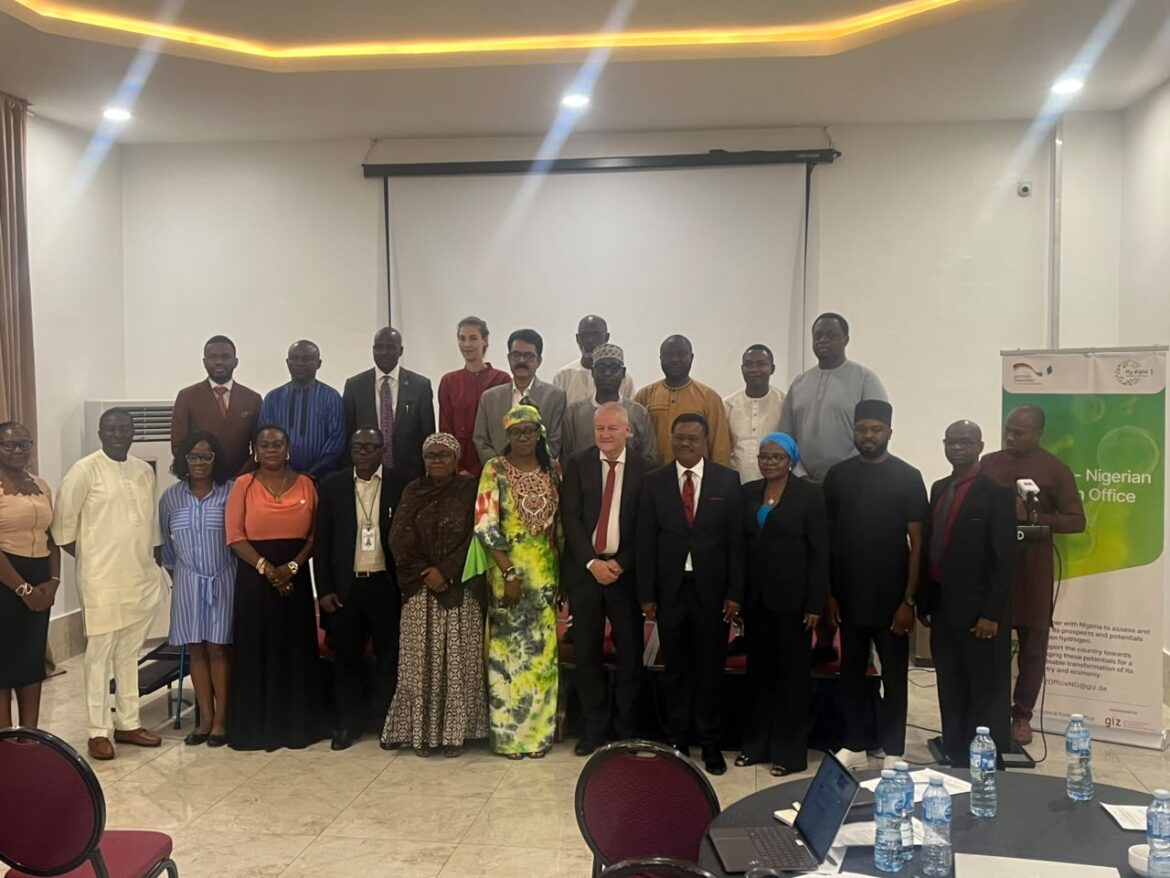 FG unveils hydrogen policy to drive clean energy, economic diversification