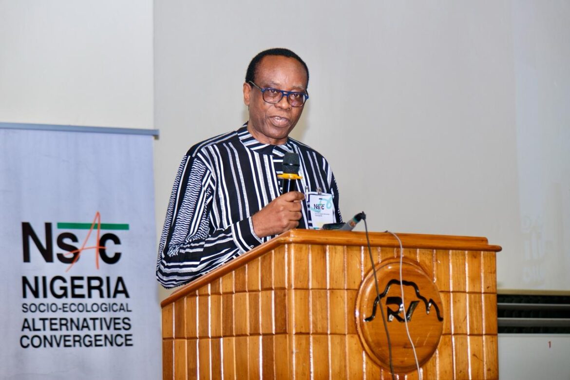 Experts warn Nigeria against ‘New Oil Curse’ in critical minerals rush