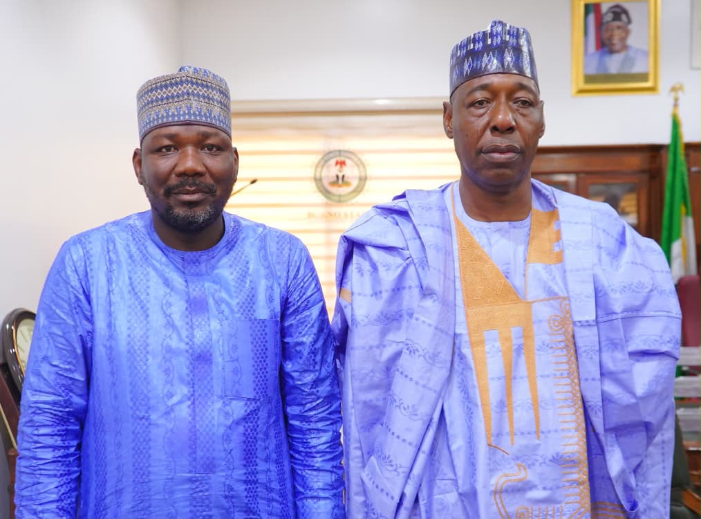 Zulum’s media aide wins national digital communication award