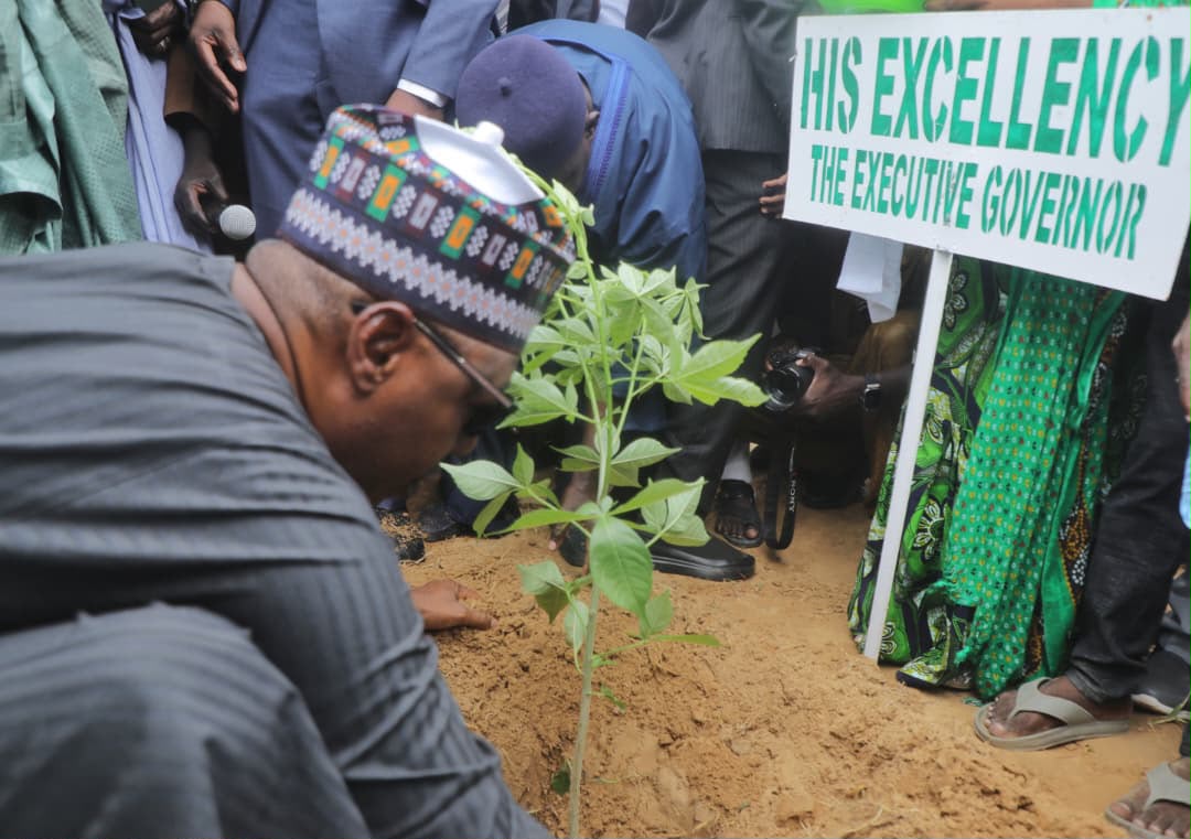 Zulum rolls out free gas cylinders, launches 4 million-tree campaign