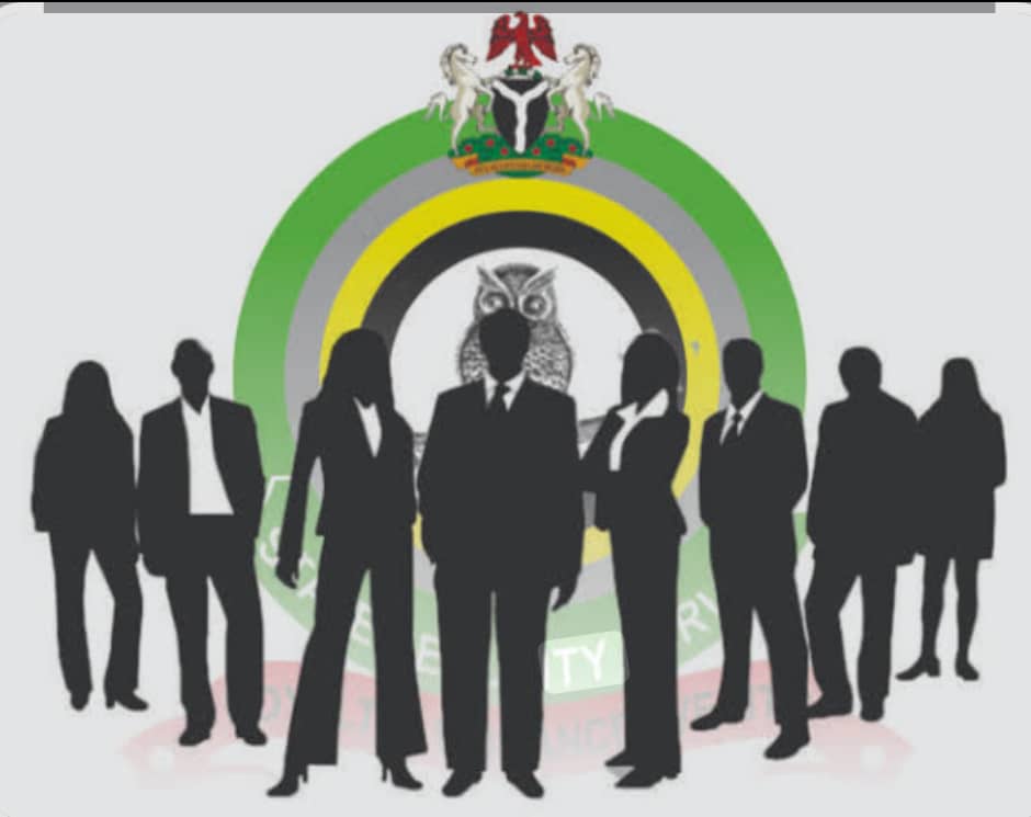 Intelligence is the grandfather of successful military operations, By Oluseyi Petinrin