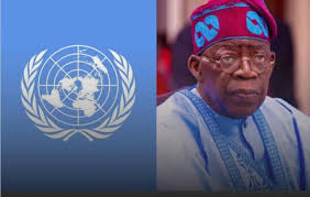 UN warns of $159m funding gap in Nigeria
