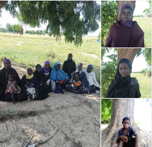Military pressure forces 17 JAS family members to surrender in Borno