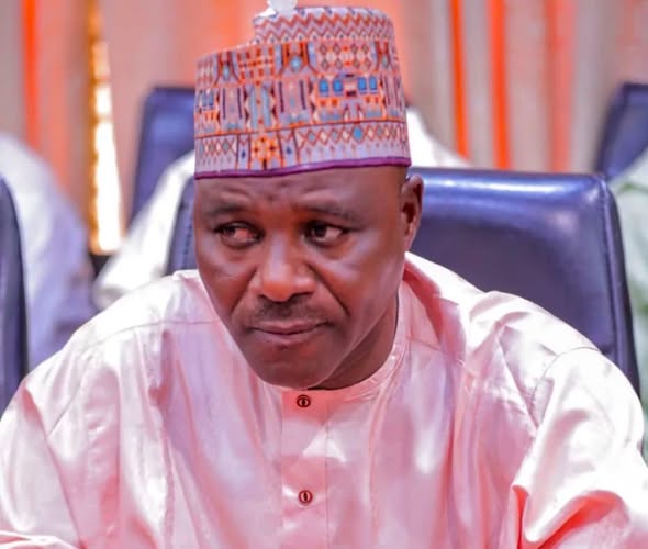Amnesty International seeks probe of Borno commissioner over alleged threats