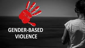 Nigeria deploys national platform to track VAW cases