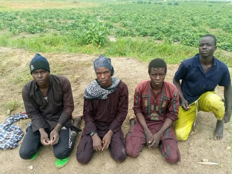 Terrorist surrenders surge 202% in North-East