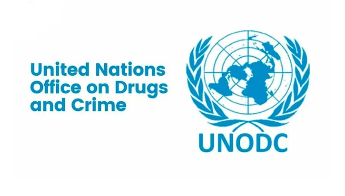 Nigeria unveils strategy to tackle organised crime