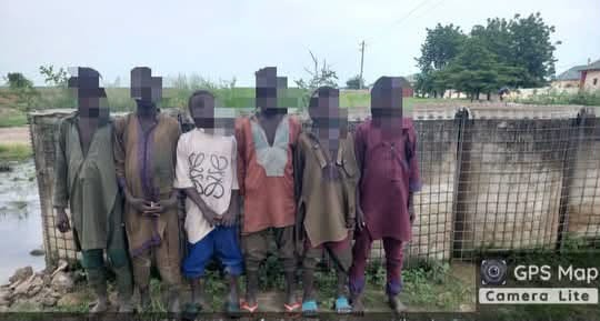 Terrorist surrenders rise 213% in Northeast
