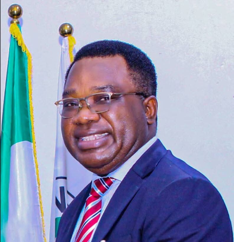Nigeria needs state police with strong rights safeguards — Ojukwu