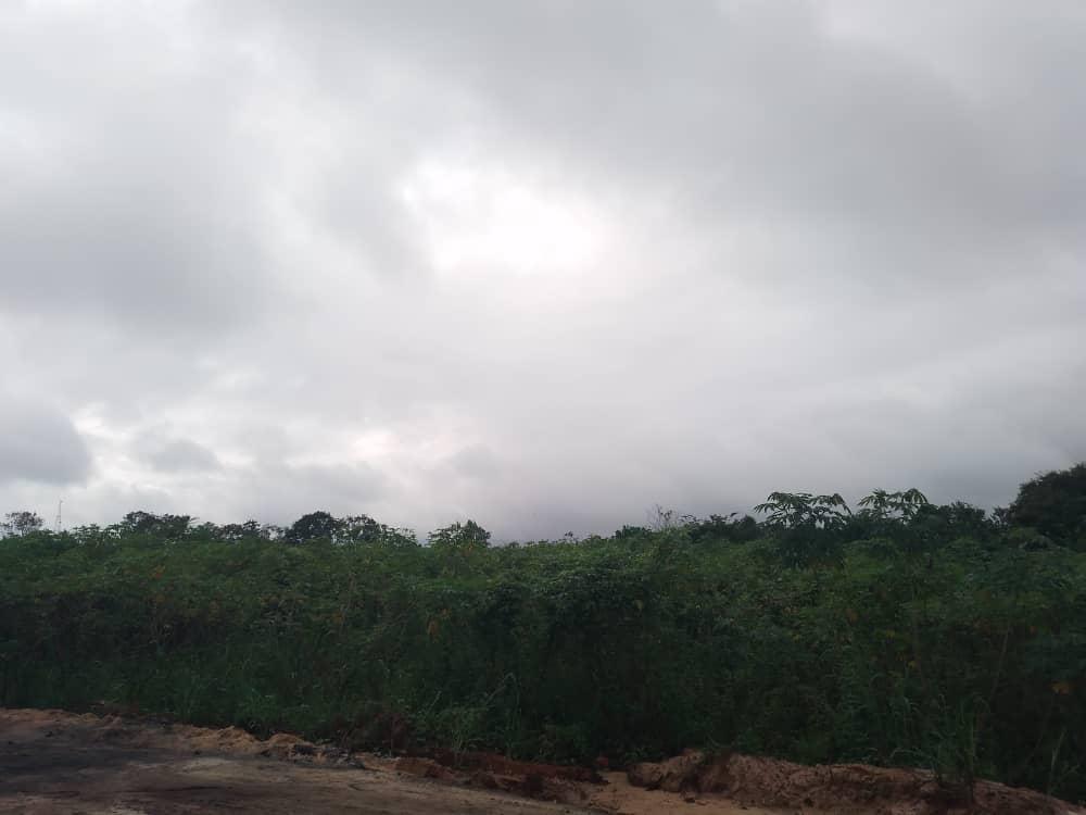 Five weeks after, Delta oil blowout still unchecked – HOMEF