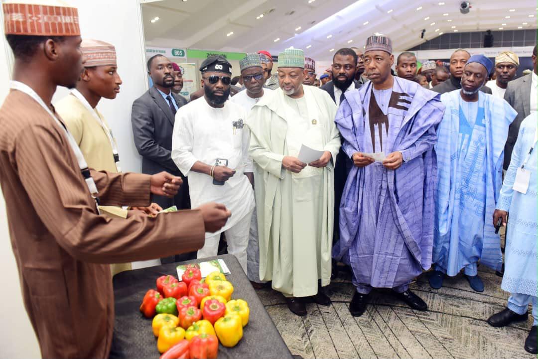 Zulum demands modern farm services