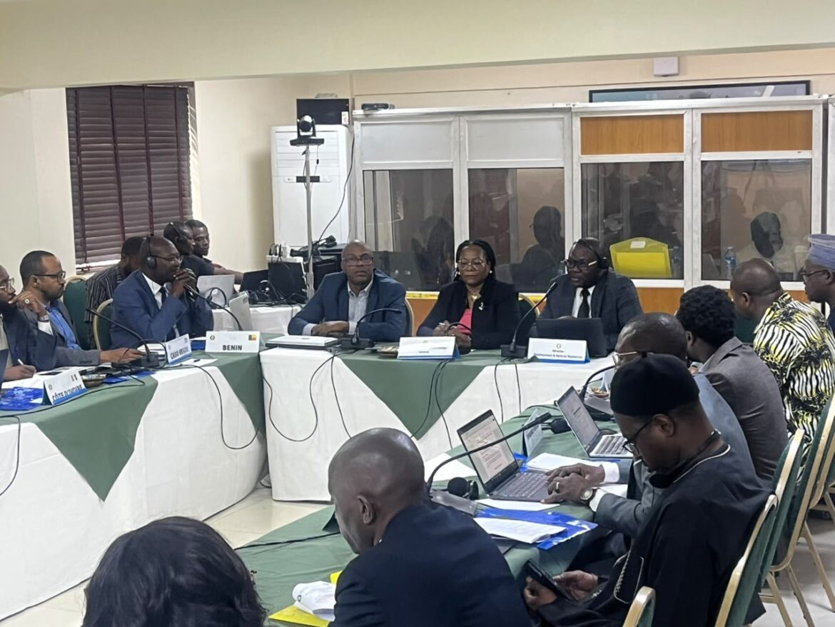 ECOWAS moves to unlock $294bn climate finance