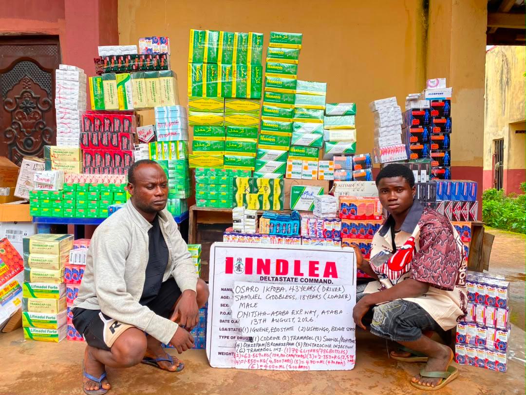 NDLEA busts N3.8bn drug network