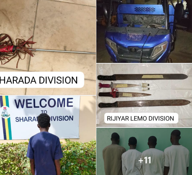 Police arrest 79 as Takutaha celebration ends peacefully in Kano
