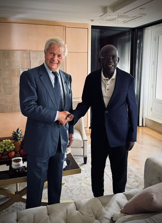 Tinubu, Bolloré discuss fresh investment in Nigeria’s creative, digital economy