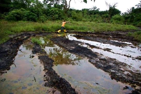 Nembe Oil Spill: HOMEF demands cleanup, compensation