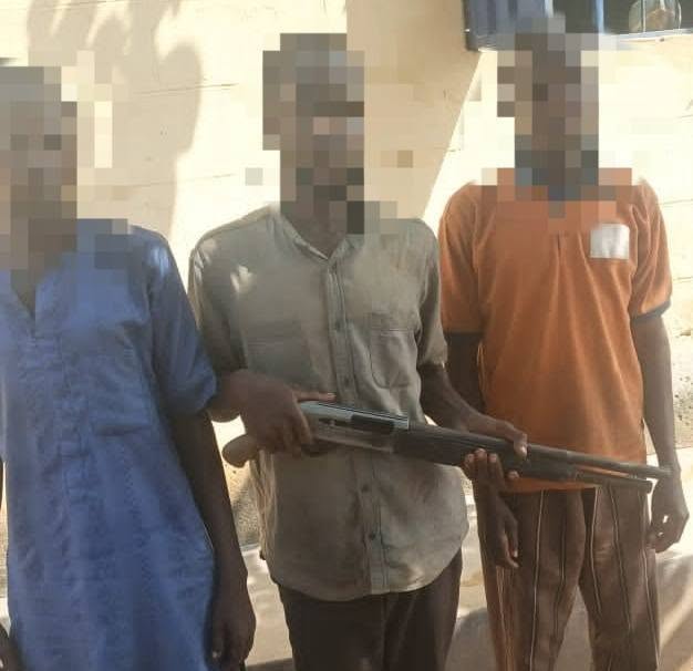 Police arrest 12 suspects, recover rifle, drugs in Niger state