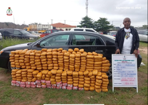 NDLEA seizes 2.3 tonnes of drugs, busts UK pipeline