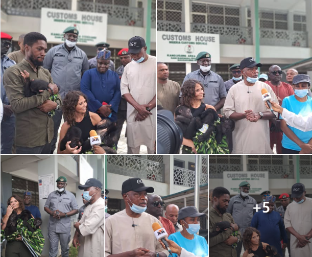Customs intercepts 48 endangered animals, warns wildlife traffickers