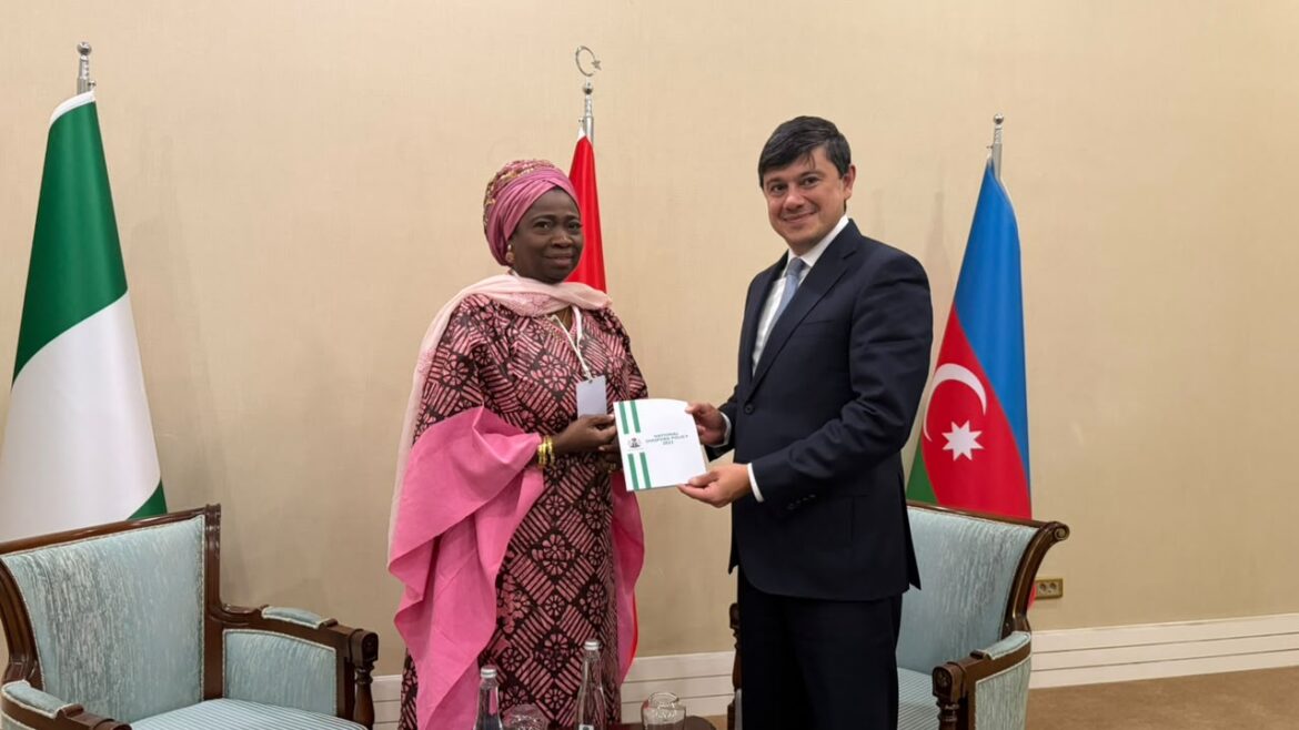 NiDCOM seeks global action against diaspora discrimination